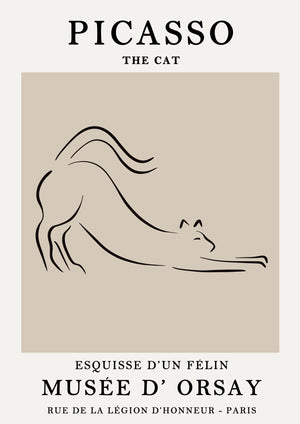 Picasso, El gato