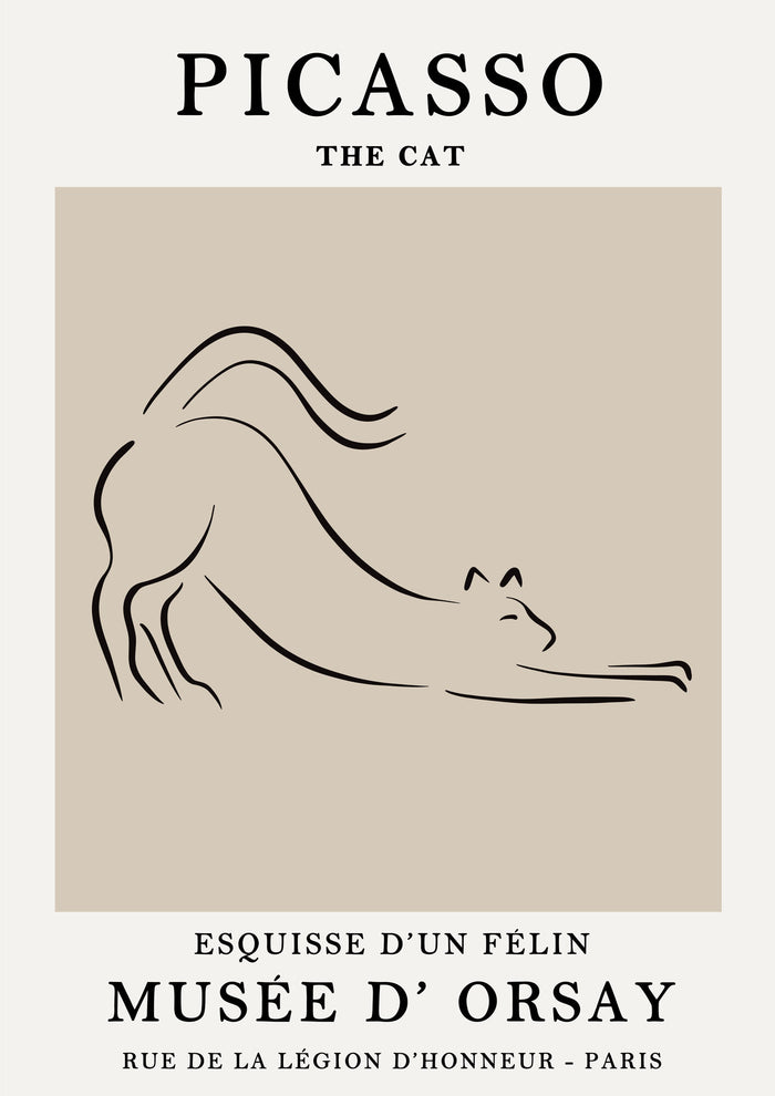 Picasso, El gato