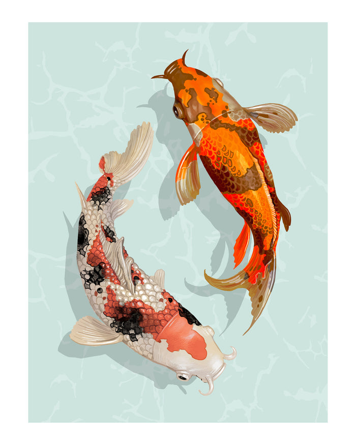 Koi